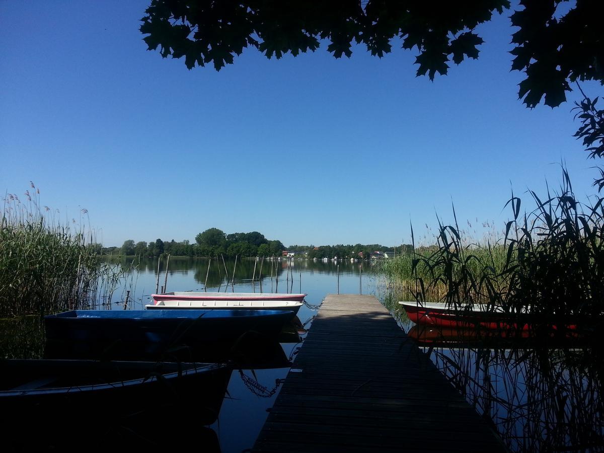 Holzhaus Waldwichtel Am Wald Und See Neuruppin Luaran gambar