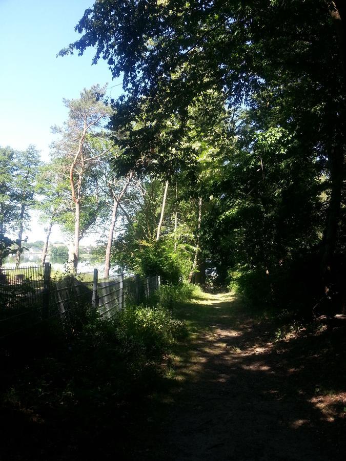 Holzhaus Waldwichtel Am Wald Und See Neuruppin Luaran gambar